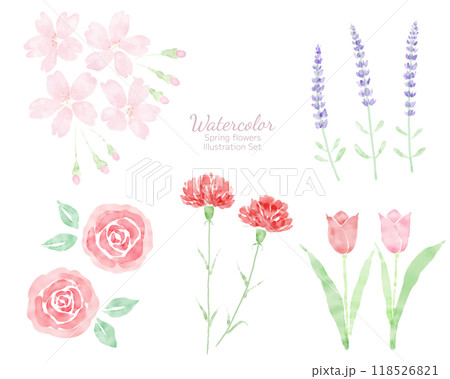 水彩の春の花のイラストセット 手描き 水彩画 水彩の春の花のイラストセット 手描き 水彩画 118526821