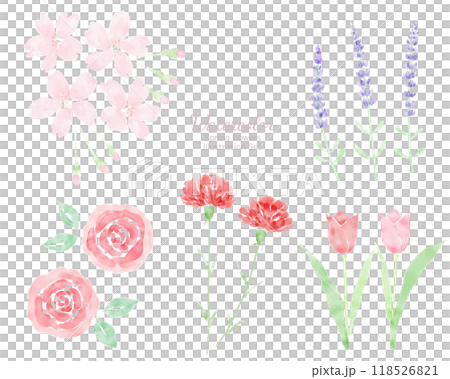 水彩の春の花のイラストセット 手描き 水彩画 水彩の春の花のイラストセット 手描き 水彩画 118526821