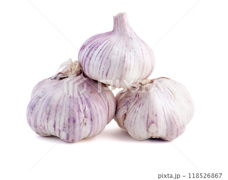 garlic 118526867