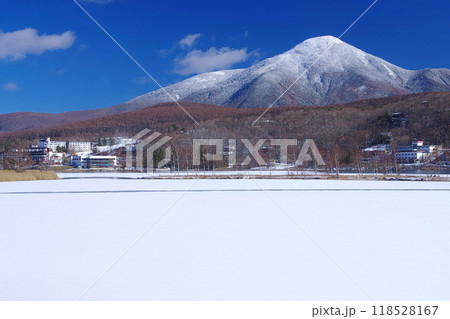 白樺湖畔から望む冬の蓼科山 白樺湖畔から望む冬の蓼科山 118528167