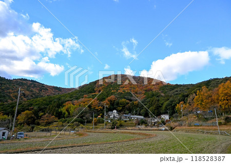 大阪・豊能郡 能勢の風景/秋の里山 大阪・豊能郡 能勢の風景/秋の里山 118528387