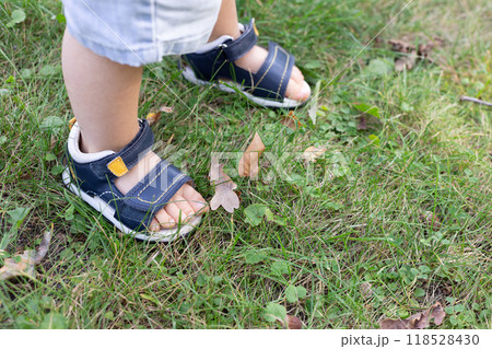 Little child walks on the green lawn in the park in too small sandals. 118528430