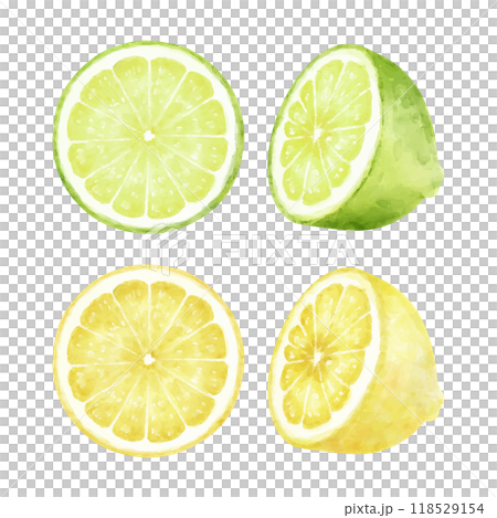 水彩で描いたレモンとライムのイラストセット 118529154