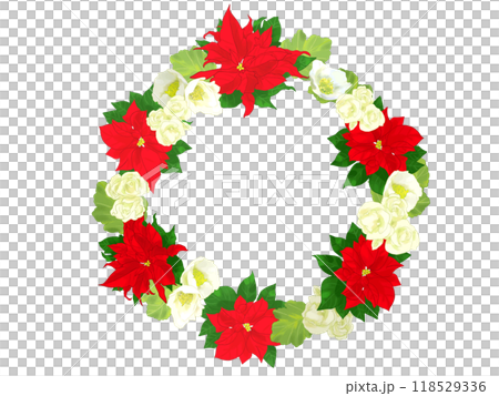 Poinsettia lease 118529336