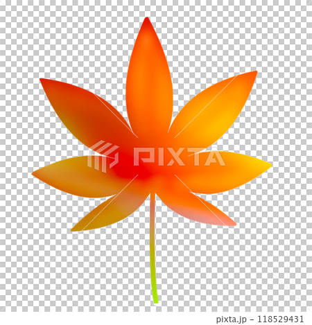 紅葉 もみじ 紅葉 もみじ 118529431