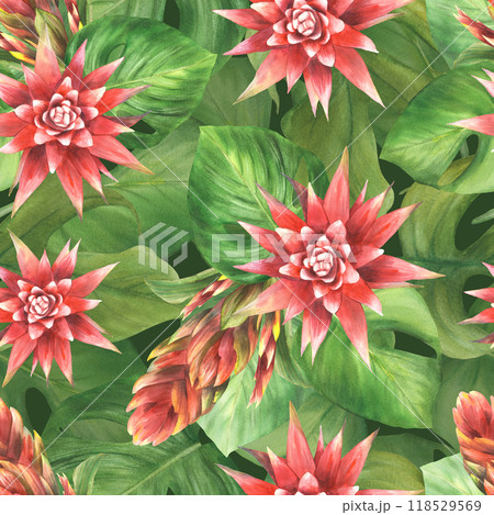 Tropical plant watercolor seamless pattern. Green leaves and red flowers summer fabric. Bromeliad buds, exotic jungle. Botanical realistic clipart. Hand drawn illustration on isolated dark background  118529569
