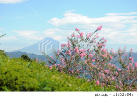 9月の富士山c 118529848