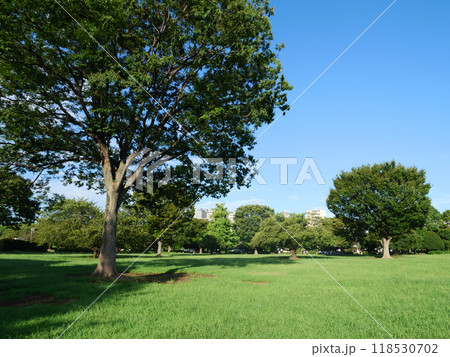 緑豊かなふれあい広場｜木場公園 118530702