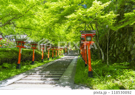 新緑の京都 鞍馬寺 九十九折り参道 石段と灯篭 新緑の京都 鞍馬寺 九十九折り参道 石段と灯篭 118530892
