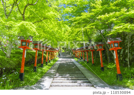 新緑の京都　鞍馬寺　九十九折り参道　石段と灯篭 118530894
