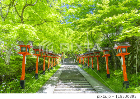 新緑の京都　鞍馬寺　九十九折り参道　石段と灯篭 118530895