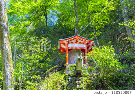 鞍馬寺　九十九折り参道　魔王の滝 118530897