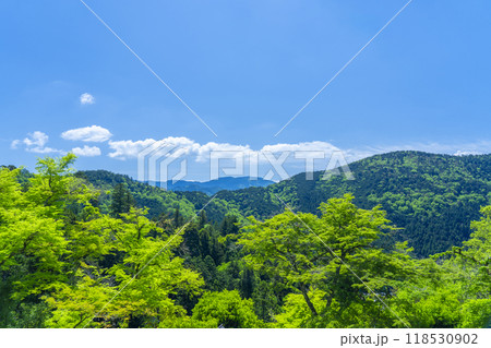 新緑の鞍馬寺から見える自然の風景 118530902