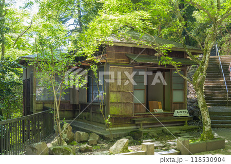 京都・鞍馬山　新緑に包まれた冬柏亭 118530904
