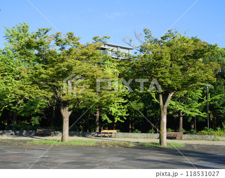 公園のある風景|木場公園 公園のある風景|木場公園 118531027