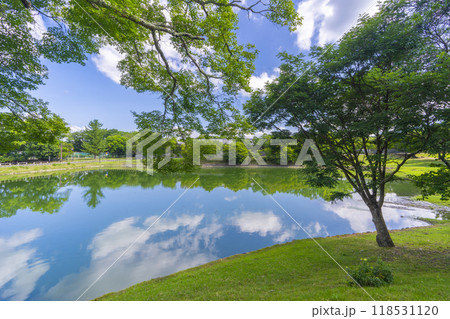 奈良公園 大仏池 奈良公園 大仏池 118531120