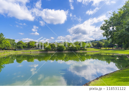 奈良公園 大仏池 奈良公園 大仏池 118531122