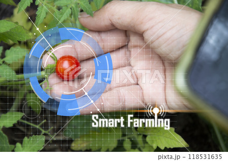 The concept of using AI and smart farming. 118531635