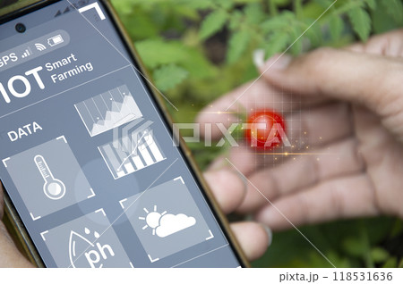 The concept of using AI and smart farming 118531636