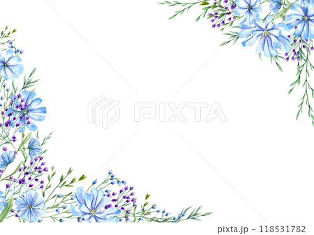 Blooming blue chicory and purple meadow flowers herbs among spikelet watercolor horizontal frame. Wild plants illustration with space for text. For greeting. invitation cards 118531782