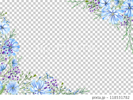 Blooming blue chicory and purple meadow flowers herbs among spikelet watercolor horizontal frame. Wild plants illustration with space for text. For greeting. invitation cards 118531782