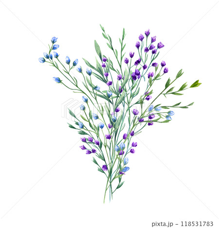 Meadow blooming blue, purple flowers and wild green spikelet bouquet watercolor illustration. Spring, summer outdoors herbs, plants for wedding, birthday greetings, package, stationery 118531783