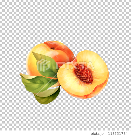 Hand drawn illustration of peaches and green leaves. Isolated on white 118531784
