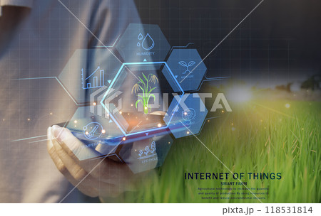 Ideas for using AI and smart farming Productivity increase and production control, data storage on the cloud system Ideas for using AI and smart farming Productivity increase and production control, data storage on the cloud system 118531814