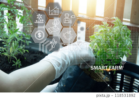 The concept of using AI and smart farming The concept of using AI and smart farming 118531892