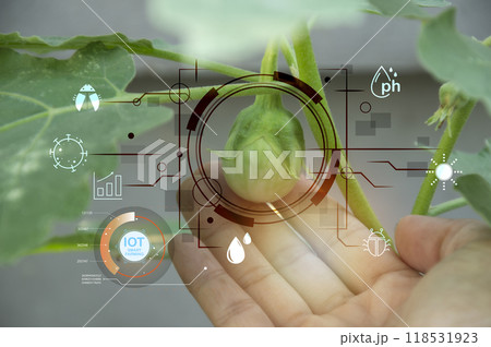 Ideas for using AI and smart farming iot Ideas for using AI and smart farming iot 118531923