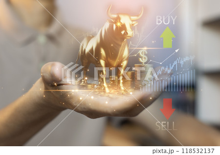 Long-term investment ideas, profits from stocks and crypto bull market trading. 118532137