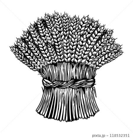 Illustration of sheaf of wheat in engraving style. Design element for emblem, sign, poster, package design. Vector illustration 118532351