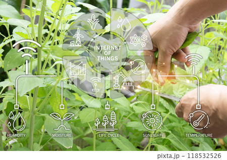 The concept of using AI and smart farming 118532526