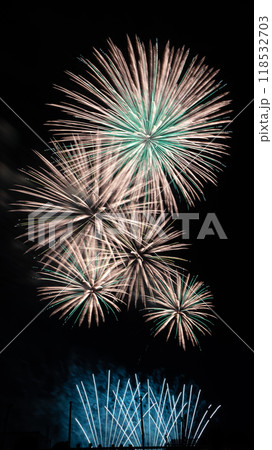夜空に咲く花火 夜空に咲く花火 118532703