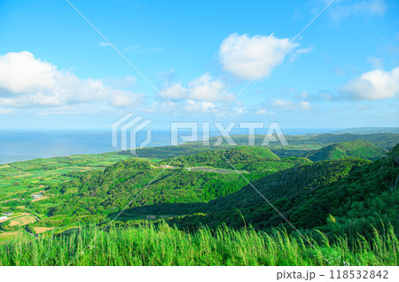 種子島の絶景 種子島の絶景 118532842
