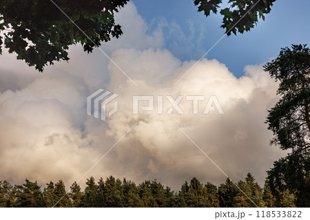 picturesque sky over forest in summer season. Cumulus clouds cover sun. picturesque sky over forest in summer season. Cumulus clouds cover sun. 118533822