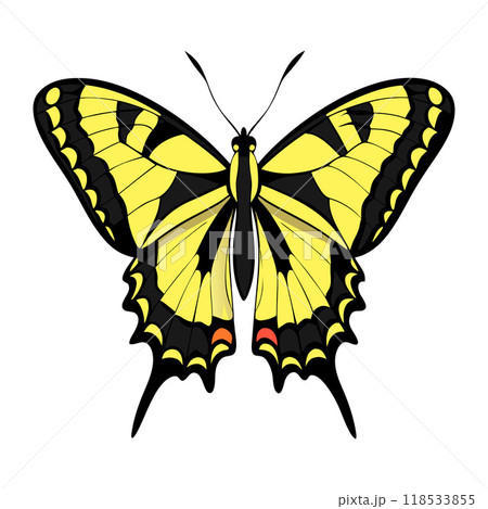 A yellow and black butterfly with a black head and orange wings 118533855