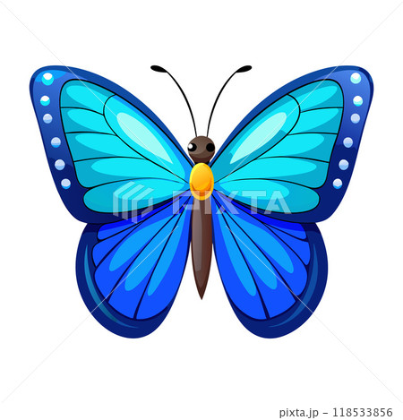 A blue butterfly with a yellow spot on its head 118533856