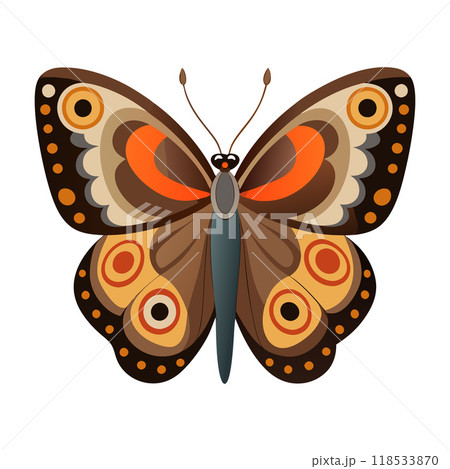 A colorful butterfly with black and orange wings A colorful butterfly with black and orange wings 118533870
