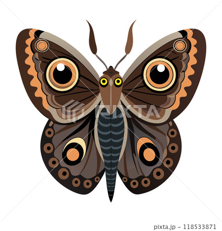 A butterfly with brown wings and black stripes A butterfly with brown wings and black stripes 118533871