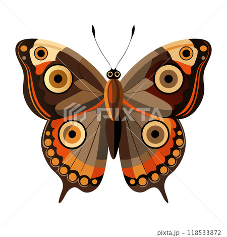 A butterfly with orange and brown wings A butterfly with orange and brown wings 118533872
