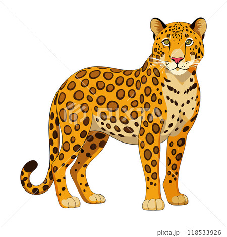 A cartoon of a leopard standing on a white background A cartoon of a leopard standing on a white background 118533926