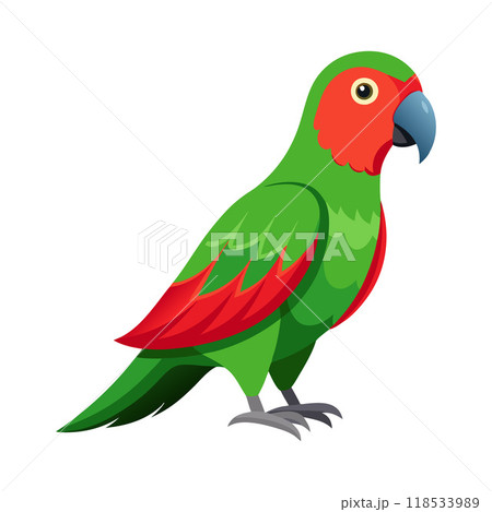 A green and red parrot is standing on a white background A green and red parrot is standing on a white background 118533989