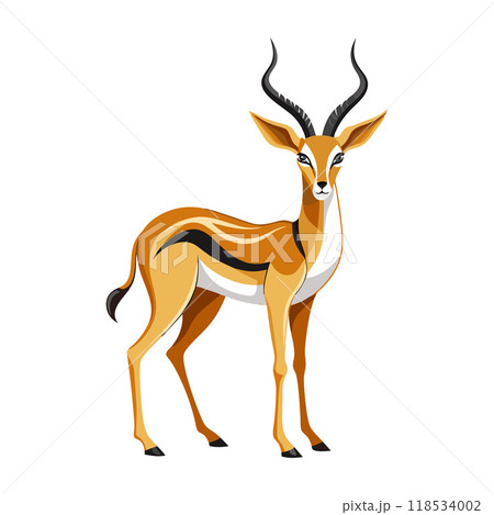 A deer with horns stands in front of a white background A deer with horns stands in front of a white background 118534002