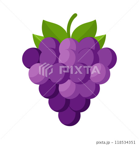 A purple grape with a green leaf on top 118534351