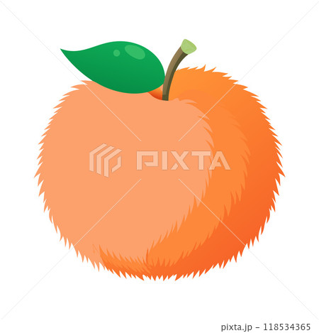 A fuzzy orange apple with a green leaf on top A fuzzy orange apple with a green leaf on top 118534365