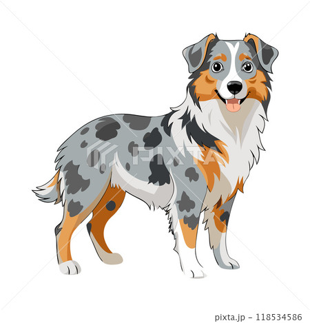 A dog with a tongue out is standing on a white background 118534586