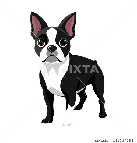 A black and white dog with a black nose A black and white dog with a black nose 118534591