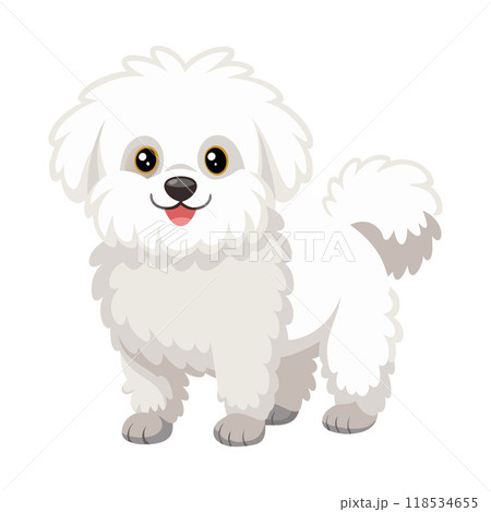 A white dog with a fluffy coat is standing on a white background 118534655