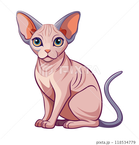 A cat with a pink coat and a blue eye is sitting on a white background 118534779
